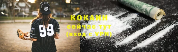 мдпв Богданович