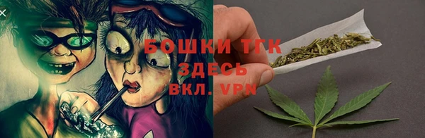 ГАЛЛЮЦИНОГЕННЫЕ ГРИБЫ Богородск