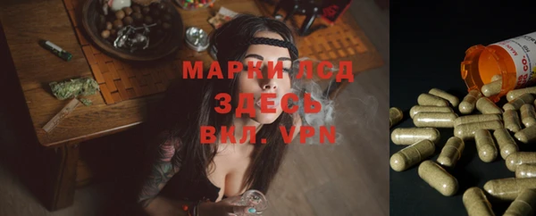 мдпв Богданович