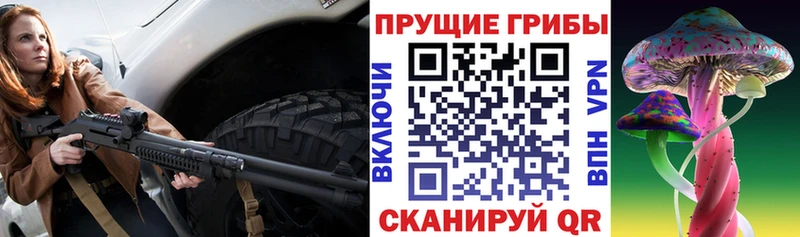 OMG tor  как найти наркотики  Котово  маркетплейс телеграм  Галлюциногенные грибы Psilocybine cubensis 